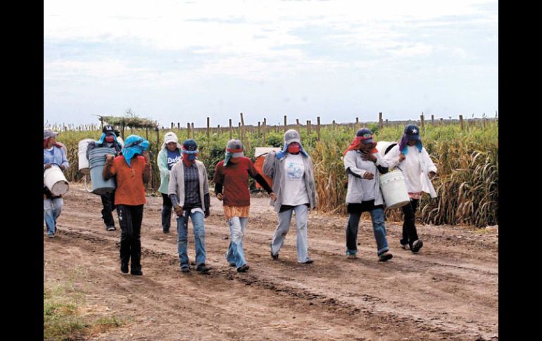 El tema de los recursos para el campo estuvo en el ojo del huracán en San Lázaro. EL UNIVERSAL  /