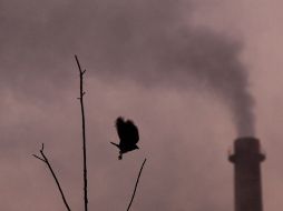 Con el acuerdo se busca situar el deterioro ambiental como tema prioritario de la agenda nacional. EFE  /