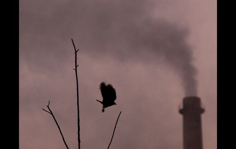 Este año, las emisiones de gases contaminantes aumentarán en mas de un 3 por ciento. EFE  /