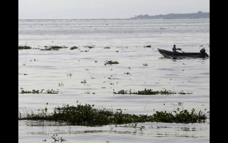 Se buscará hacer uso del 100% de la concesión anual de 240 millones de metros cúbicos que pueden extraerse del Lago de Chapala. ARCHIVO  /