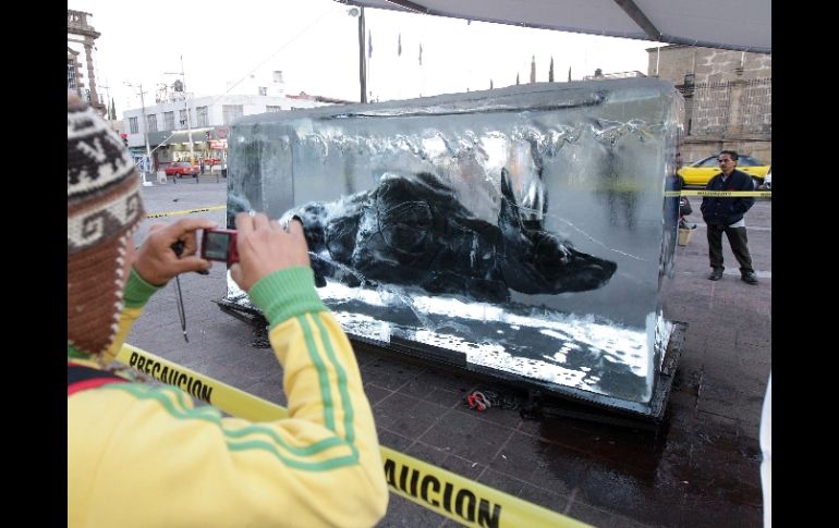 Desde el amanecer el bloque de hielo que contiene a 'Xolo' provocó sorpresa entre quienes pasaban por el sitio. A CAMACHO  /