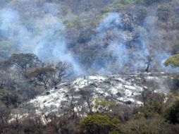 La deforestación es una de los principales causas de el calentamiento global. ARCHIVO  /