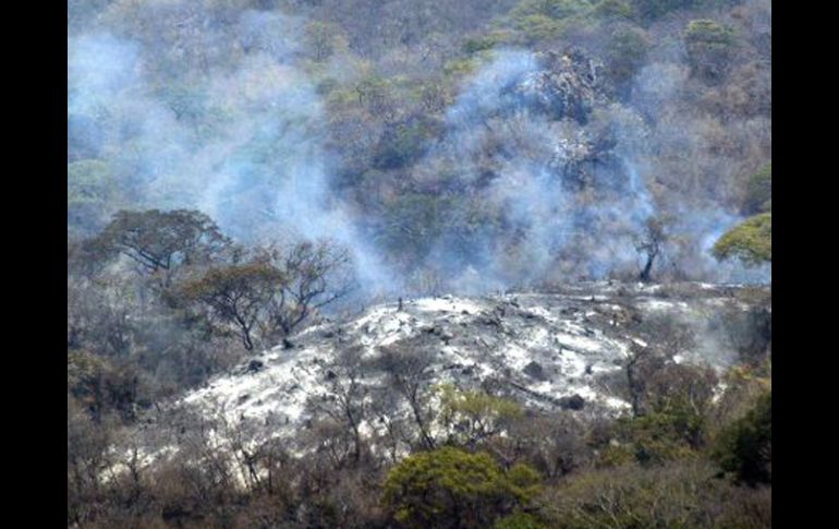 La deforestación es una de los principales causas de el calentamiento global. ARCHIVO  /