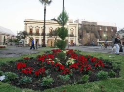 El Jardín de San José recibió una rehabilitación tras el incendio del pasado domingo. A. GARCÍA  /