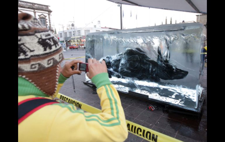 El perro Xolo saldrá hoy del bloque de hielo, para encontrarse con la Pequeña gigante. A. CAMACHO  /