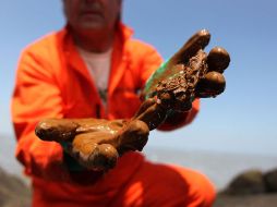 Paul Horsman, un biólogo de la organización Greenpeace, recoge restos de petróleo a las orillas del río Mississippi. AFP  /