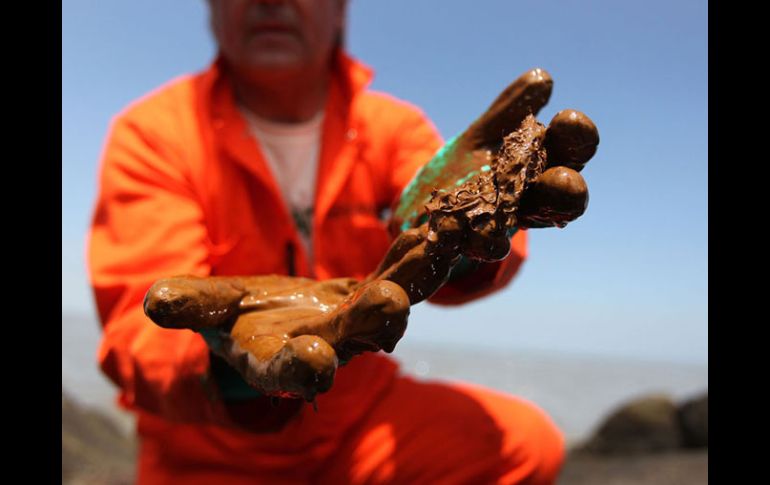 Paul Horsman, un biólogo de la organización Greenpeace, recoge restos de petróleo a las orillas del río Mississippi. AFP  /