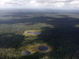 México mostrará en la reunión climática de Cancún sus experiencias en conservación de ecosistemas. AP  /