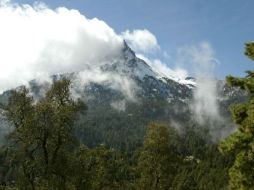 Cambio climático podría duplicar precios de alimentos. ARCHIVO  /