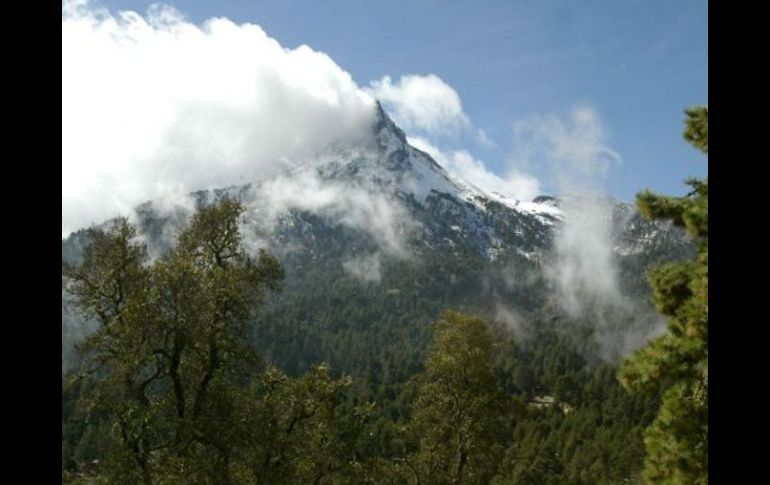 Cambio climático podría duplicar precios de alimentos. ARCHIVO  /