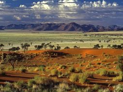 Grupo de Expertos apunta que el mal uso de la tierra y el cambio en el uso de suelo deterioran los ecosistemas. ESPECIAL  /