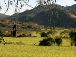 Descatan que en las montañas el aumento de las temperaturas es más alto. ARCHIVO  /