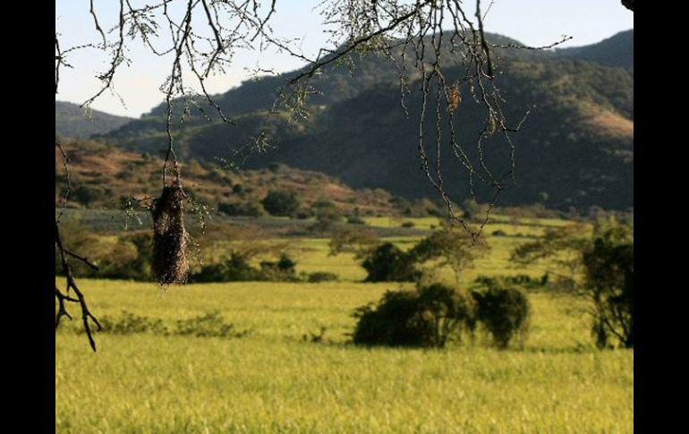 Descatan que en las montañas el aumento de las temperaturas es más alto. ARCHIVO  /