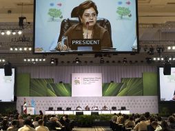 Patricia Espinosa habla durante la sesión plenaria de hoy en el marco de la COP 16. AFP  /