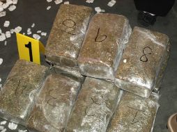 Elementos caninos de la AFI detectaron cinco cajas con 47 paquetes de mariguana. ESPECIAL  /