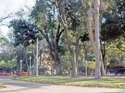 En la ZMG alrededor de 3.5% son zonas verdes de parques, camellones o glorietas. EL INFORMADOR  /