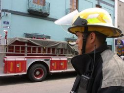 Personal de Protección Civil y Bomberos de Tlaquepaque y la Dirección del Medio Ambiente implementaron el operativo. ARCHIVO  /