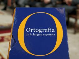 Las modificaciones de la nueva ortografía de la lengua española son inevitables. EFE  /