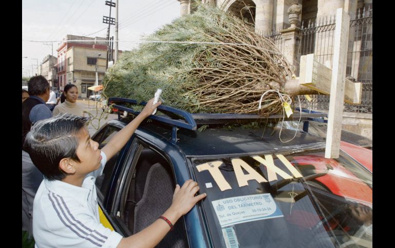 La campaña de reciclaje tiene la intención de aprovechar los sujetos forestales para la generación de composta. A. GARCÍA  /