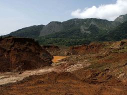 Los recursos serán manejados por la Comisión Nacional Forestal. ARCHIVO INFORMADOR  /