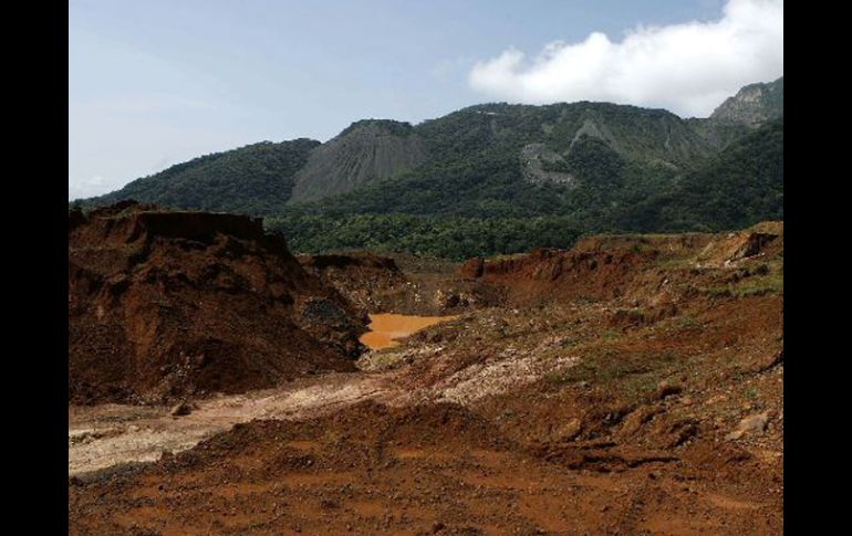 Los recursos serán manejados por la Comisión Nacional Forestal. ARCHIVO INFORMADOR  /