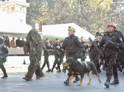 En el Distrito Federal, la Policía registró 194 mil 920 incapacidades médicas en el pasado trienio. NTX  /