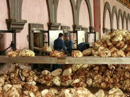 Por cada litro de tequila se generan 10 de vinaza, sustancia altamente contaminante que se controló mejor este año. E. PACHECO  /