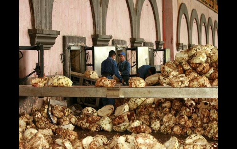 Por cada litro de tequila se generan 10 de vinaza, sustancia altamente contaminante que se controló mejor este año. E. PACHECO  /