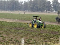 Es importante que las medidas para combatir la transmisión del cólera se orienten a las comunidades agrícolas. ARCHIVO  /