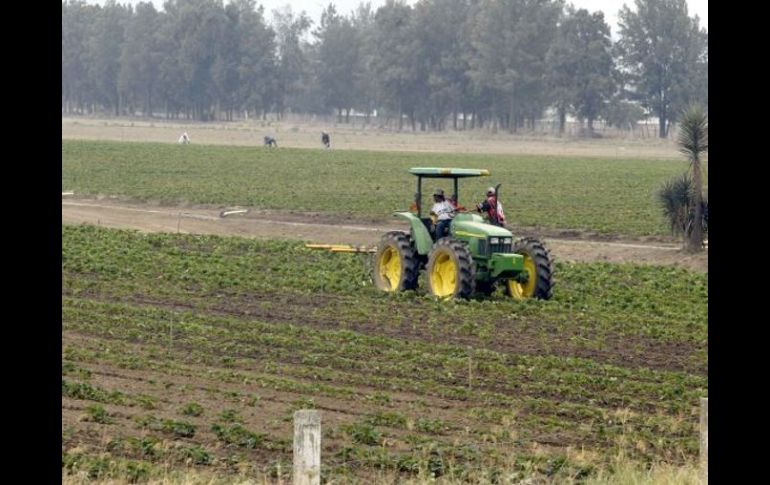 Es importante que las medidas para combatir la transmisión del cólera se orienten a las comunidades agrícolas. ARCHIVO  /