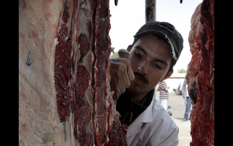 El Ayuntamiento tapatío contempla instalar equipo de video-vigilancia para erradicar el robo de carne en el rastro. ARCHIVO  /