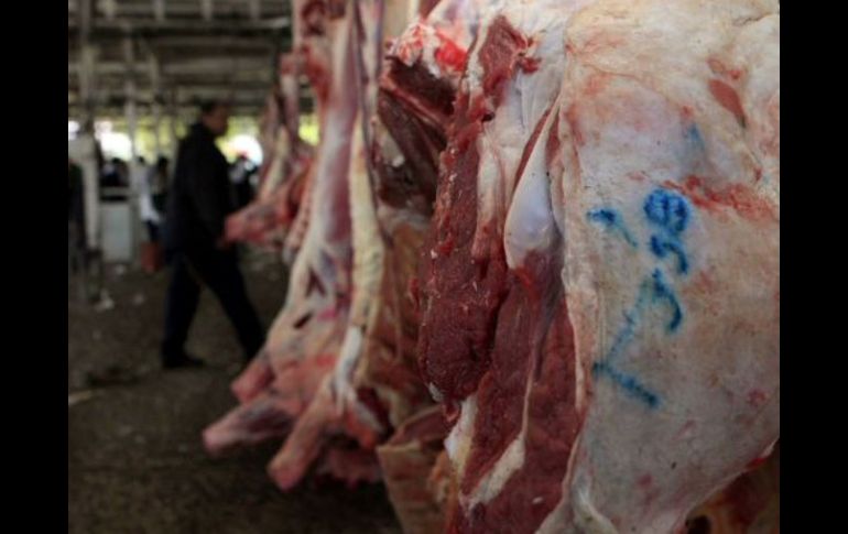 La extracción ilegal de carne en el Rastro de Guadalajara  representa una pérdida de 19 millones 760 mil pesos al año. ARCHIVO  /