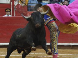 Los toros marcados con los números 11 y 63 pesaron 602 y 612 kilogramos de peso. EFE  /