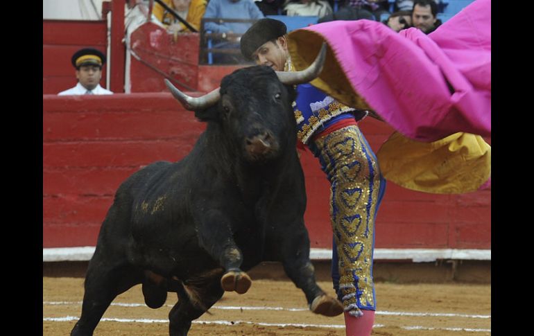 Los toros marcados con los números 11 y 63 pesaron 602 y 612 kilogramos de peso. EFE  /