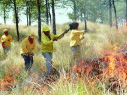 Zapopan realiza labores preventivas para control y combate de incendios forestales en esta temporada de estiaje. ARCHIVO  /