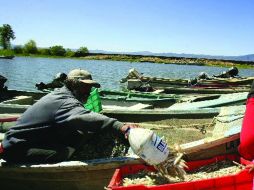 Algunas familias dependen de pescadores de la tercera edad, dada su condición, les será dificultará encontrar alternativas. ARCHIVO  /