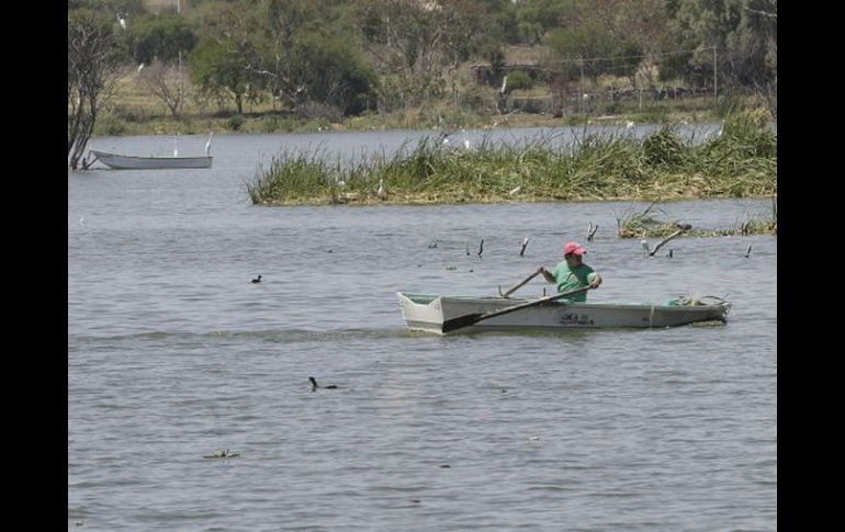 Cada pescador gana alrededor de 20 pesos al día, lo cual resulta insuficiente para mantener a sus familias. S. NUÑEZ  /