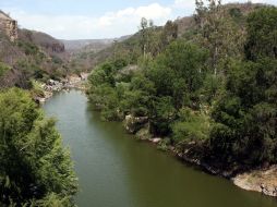 La construcción de la presa sería en los municipios de Temacapulín, Acasico y Palmarejo. EL INFORMADOR  ARCHIVO.  /