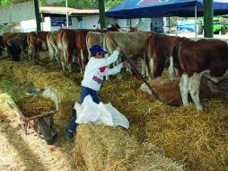 Este proyecto pretende integrar a ganaderos y agricultores de la región para varios beneficios. ARCHIVO  /