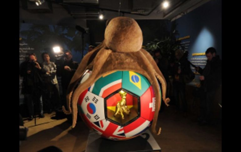 El monumento del pulpo adivino de la Copa del Mundo 2010. AFP  /