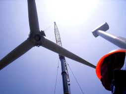 La propuesta abracará 600 molinos frente a las costas francesas. EFE  /