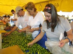 En el caso de  Jalisco, la agricultura citrícola le apuesta más a los limones persas. ARCHIVO  /