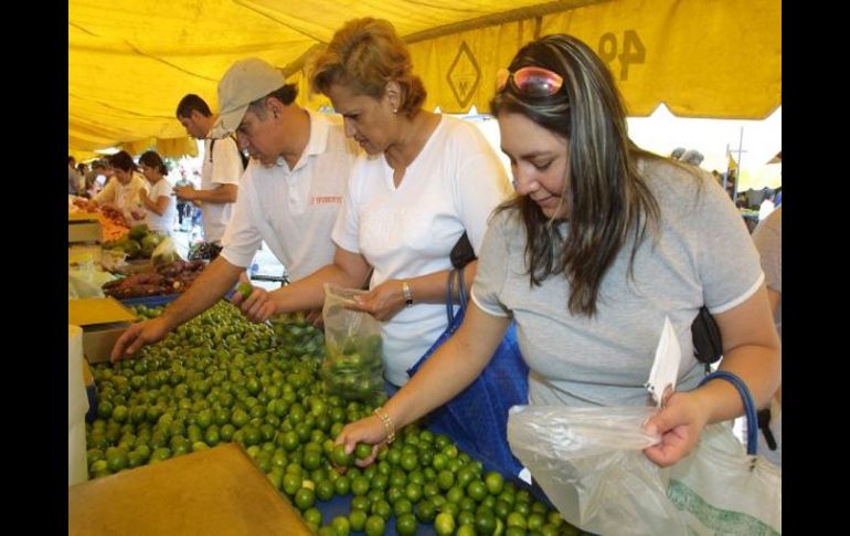 En el caso de  Jalisco, la agricultura citrícola le apuesta más a los limones persas. ARCHIVO  /