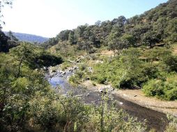 Treviño exhortó al sector industrial a continuar con los esfuerzos en pro del medio ambiente. ARCHIVO  /