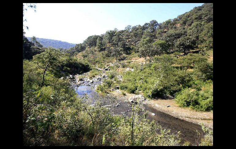 Treviño exhortó al sector industrial a continuar con los esfuerzos en pro del medio ambiente. ARCHIVO  /