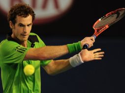 Andy Murray superó a Ferrer en la semifinal del torneo. AFP  /