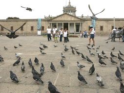 En la Explanada del Instituto Cultural Cabañas estará ubicada la pista de hielo de 600 metros cuadrados. • S. NÚÑEZ  /