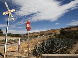 Pretenden seducir a los turistas con el paisaje agavero y además dejar y una aportación educativa. EFE  /