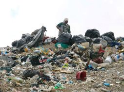 El basurero Picachos es el lugar ideal para instalar el incinerador que ya fue comprado, pero aún se encuentra en bodega. A. GARCÍA  /