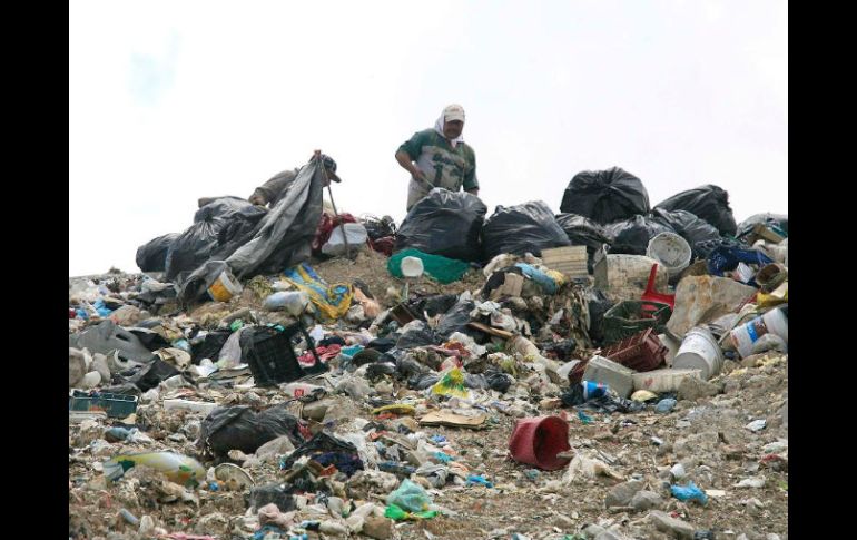 El basurero Picachos es el lugar ideal para instalar el incinerador que ya fue comprado, pero aún se encuentra en bodega. A. GARCÍA  /